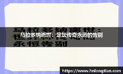 南宫NG·28